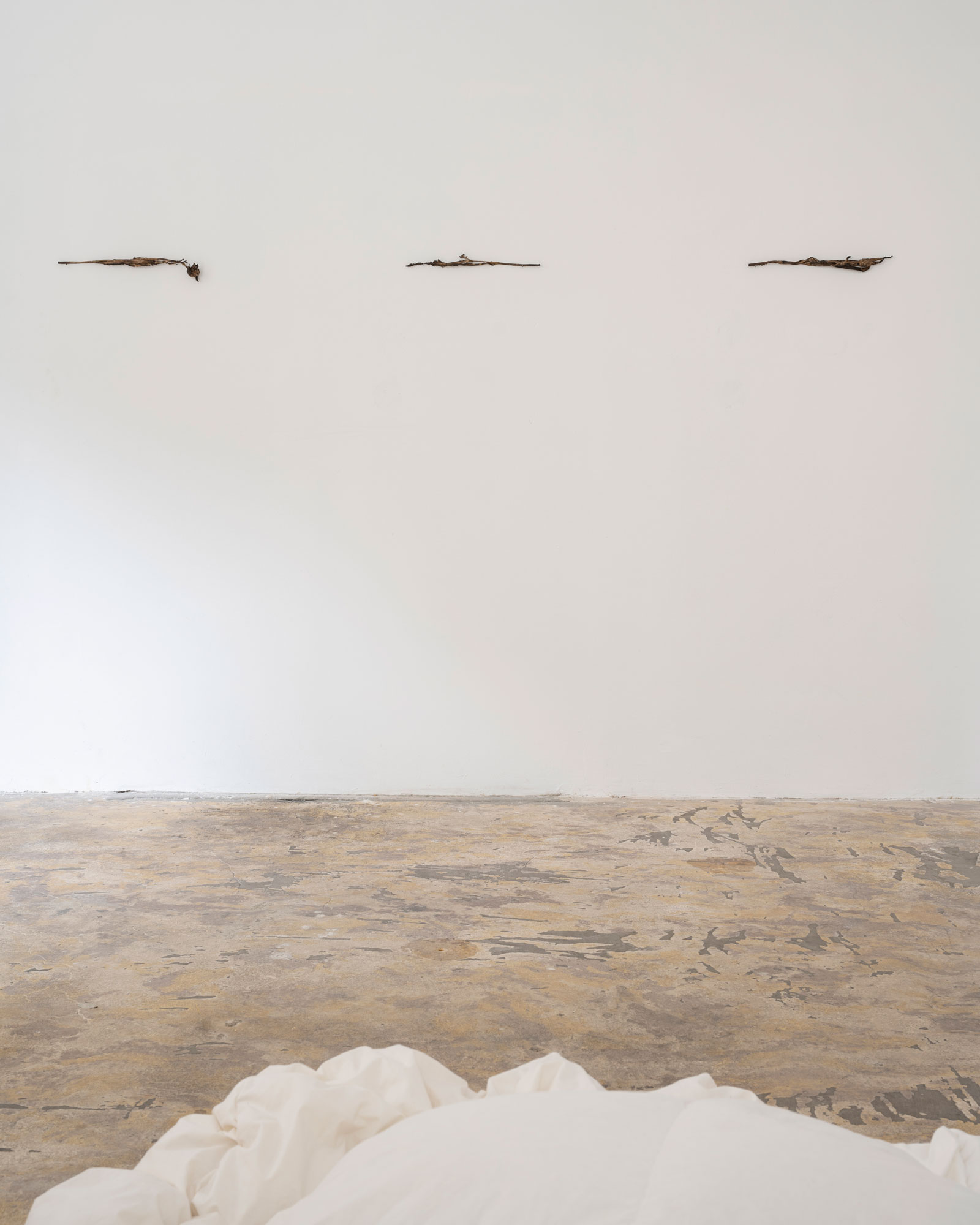 Luka Berchtold - installation view (c) Matthias Aschauer